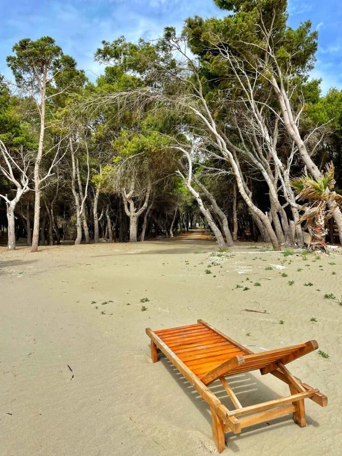 Villa Roel 2 Apartments Nr 88 Vlorë 外观 照片
