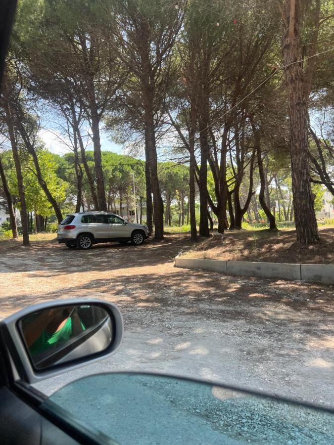 Villa Roel 2 Apartments Nr 88 Vlorë 外观 照片